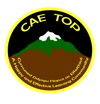 Cae Top logo